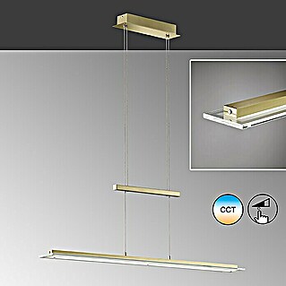 Fischer & Honsel LED-Pendelleuchte Tenso (25 W, L x B x H: 100 x 9 x 150 cm, Messing, Mehrfarbig)