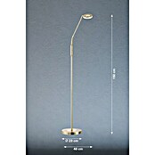 Fischer & Honsel Dent LED-Stehleuchte (6 W, Höhe: 150 cm, Messing, Mehrfarbig, 1 Stk.) | BAUHAUS