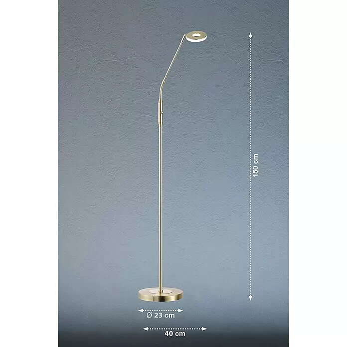 Fischer & Honsel Dent LED-Stehleuchte - 6 W, Höhe: 150 cm, Messing, Mehrfarbig, 1 Stk. - Goldfarbene LED-Stehleuchte mit Rundkopf. Höhe 150 cm, Fuß Ø 23 cm, Ausladung 40 cm.