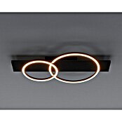 Eglo Boyal LED stropna svjetiljka  (24 W, 78 x 40 x 9 cm, Topla bijela, Broj žarulja: 2 Kom.) | BAUHAUS