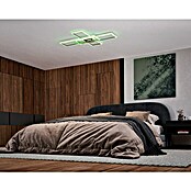 Just Light Felix LED-Deckenleuchte (50 W, L x B x H: 105 x 71 x 6 cm, Stahl, RGBW) | BAUHAUS