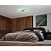 Eglo LED-Deckenleuchte PALMAVES 3 (12 W, L x B x H: 55 x 39 x 8,9 cm, Schwarz, RGBW) | BAUHAUS