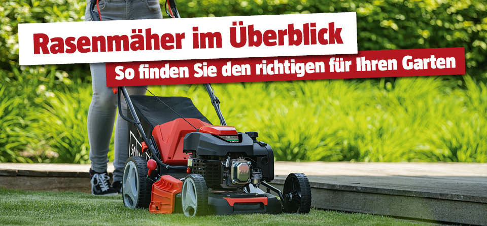 Auswahl eines Rasenmähers