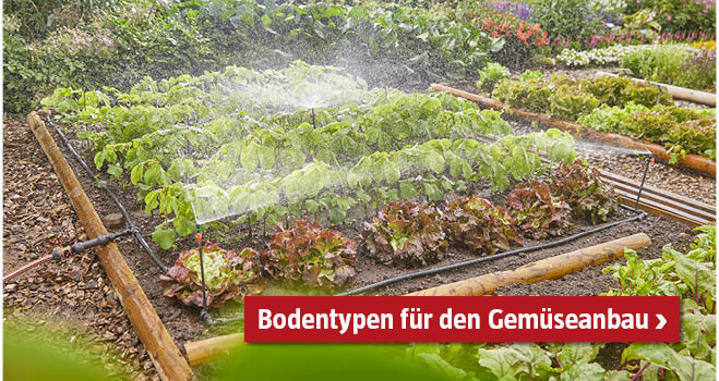 Bodentypen Gemüseanbau
