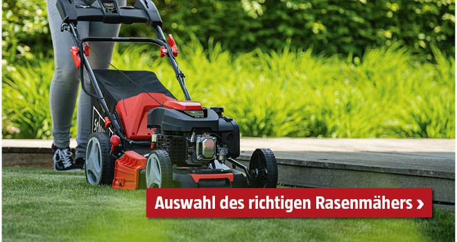 Auswahl Rasenmäher