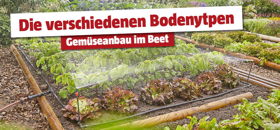 Bodentypen für den Gemüseanbau