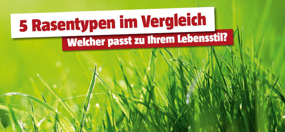Rasentypen im Vergleich