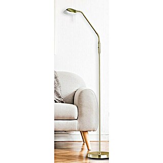 Fischer & Honsel Pool LED-Stehleuchte (5 W, Höhe: 160 cm, Messing, Mehrfarbig)