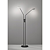 Fischer & Honsel Dent LED-Stehleuchte (12 W, Höhe: 150 cm, Sandschwarz, Mehrfarbig, 2 Stk.) | BAUHAUS