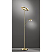 Fischer & Honsel Dent LED-Stehleuchte (45 W, Höhe: 180 cm, Messing, Mehrfarbig, 2 Stk.) | BAUHAUS