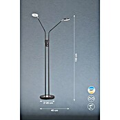 Fischer & Honsel Dent LED-Stehleuchte (12 W, Höhe: 150 cm, Sandschwarz, Mehrfarbig, 2 Stk.) | BAUHAUS