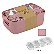 Set de accesorios de baño Today (4 pzs., Rosa) | BAUHAUS
