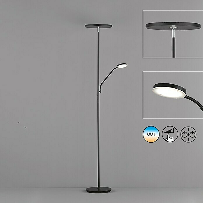 FHL easy LED-Stehleuchte Fabi (37,5 W, Höhe: 180 cm, Sandschwarz, Mehrfarbig) | BAUHAUS