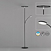 FHL easy LED-Stehleuchte Fabi (37,5 W, Höhe: 180 cm, Sandschwarz, Mehrfarbig) | BAUHAUS