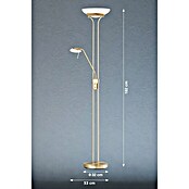 Fischer & Honsel Pool LED-Stehleuchte (33 W, Höhe: 182 cm, Messing, Mehrfarbig) | BAUHAUS