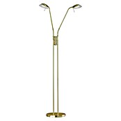 Fischer & Honsel Pool LED-Stehleuchte (10 W, Höhe: 160 cm, Messing, Mehrfarbig) | BAUHAUS