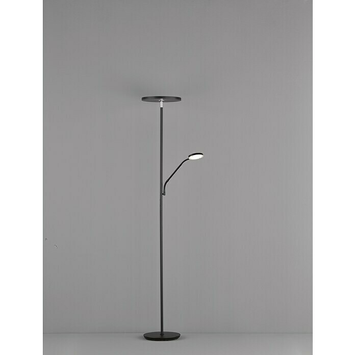 FHL easy LED-Stehleuchte Fabi (37,5 W, Höhe: 180 cm, Sandschwarz, Mehrfarbig) | BAUHAUS