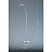 FHL easy Luna LED-Stehleuchte (6 W, Höhe: 150 cm, Nickel, Mehrfarbig, 1 Stk.) | BAUHAUS