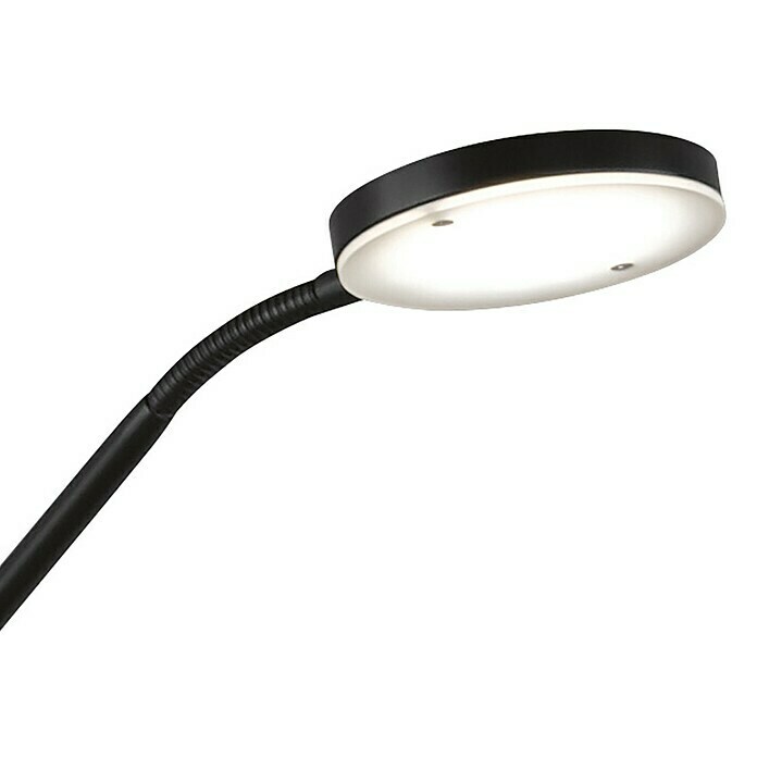 FHL easy LED-Stehleuchte Fabi (37,5 W, Höhe: 180 cm, Sandschwarz, Mehrfarbig) | BAUHAUS