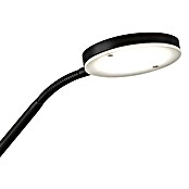 FHL easy LED-Stehleuchte Fabi (37,5 W, Höhe: 180 cm, Sandschwarz, Mehrfarbig) | BAUHAUS