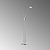 FHL easy Luna LED-Stehleuchte (12 W, Höhe: 150 cm, Nickel, Mehrfarbig, 2 Stk.) | BAUHAUS