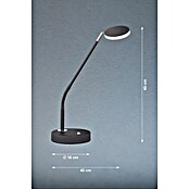 FHL easy Luna LED-Tischleuchte (6 W, L x B x H: 16 x 16 x 60 cm, Sandschwarz, Mehrfarbig) | BAUHAUS