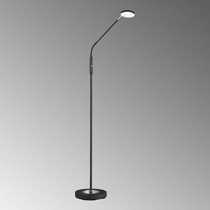 FHL easy Luna LED-Stehleuchte (6 W, Höhe: 150 cm, Sandschwarz, Mehrfarbig, 1 Stk.) | BAUHAUS