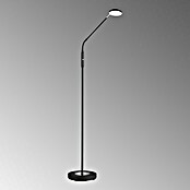 FHL easy Luna LED-Stehleuchte (6 W, Höhe: 150 cm, Sandschwarz, Mehrfarbig, 1 Stk.) | BAUHAUS