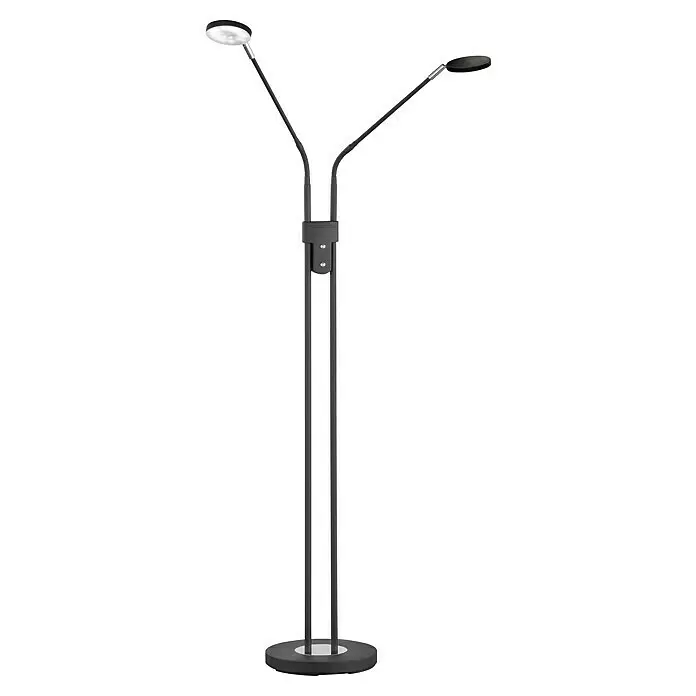 FHL easy Luna LED-Stehleuchte - 12 W, Höhe: 150 cm, Sandschwarz, Mehrfarbig, 2 Stk. - Dunkelgraue Stehleuchte mit zwei verstellbaren Köpfen, einer beleuchtet, auf rundem Sockel.