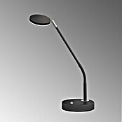 FHL easy Luna LED-Tischleuchte (6 W, L x B x H: 16 x 16 x 60 cm, Sandschwarz, Mehrfarbig) | BAUHAUS