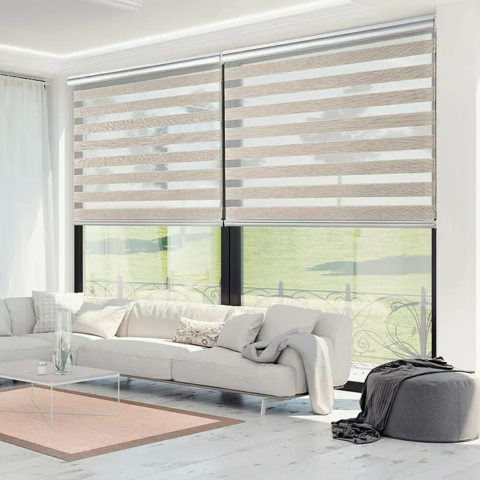 Estor noche y día Platinum - An x Al: 160 x 250 cm, Beige - Elegante salón con doble persiana enrollable en colores suaves, que combina luz y privacidad de forma armónica. Decoración moderna para un ambiente elegante.