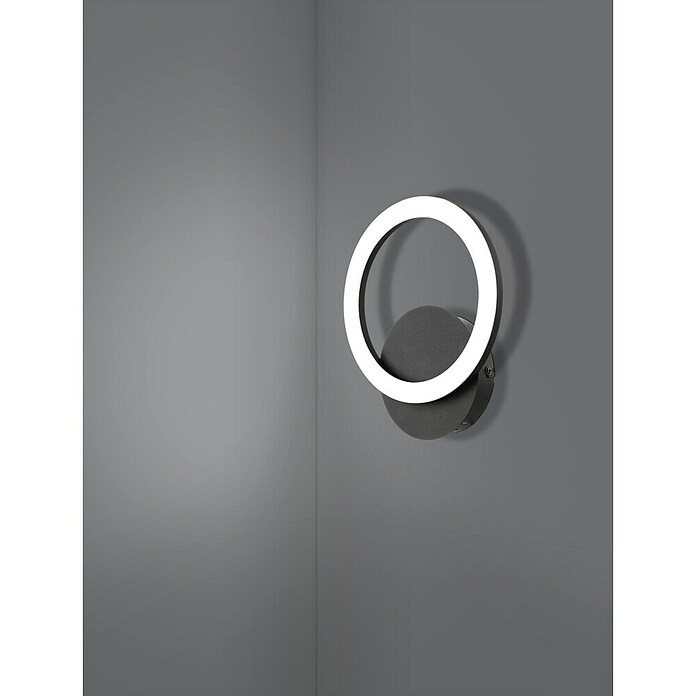 Eglo LED-Deckenleuchte PARRAPOS-Z (12 W, L x B x H: 20 x 24 x 24 cm, Schwarz) | BAUHAUS