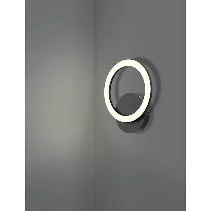 Eglo LED-Deckenleuchte PARRAPOS-Z (12 W, L x B x H: 20 x 24 x 24 cm, Schwarz) | BAUHAUS