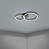 Eglo Led-plafondlamp PARANDAY-Z (15 W, l x b x h: 44,5 x 30 x 7 cm, Zwart) | BAUHAUS