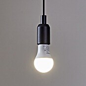 Eglo connect.z Smart-LED-Lampe Zigbee RGB/CCT (E27, Dimmbarkeit: Dimmbar, RGBW, 806 lm, 9 W) | BAUHAUS