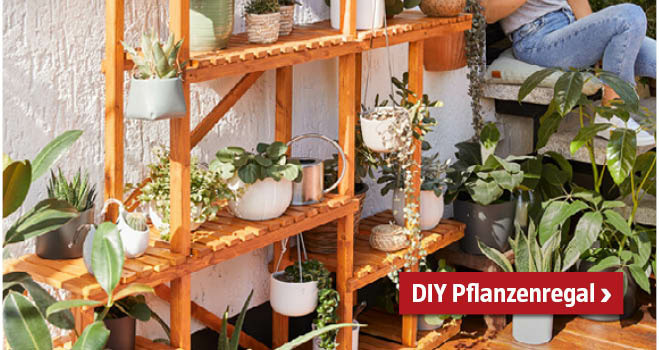 DIY Pflanzenregal