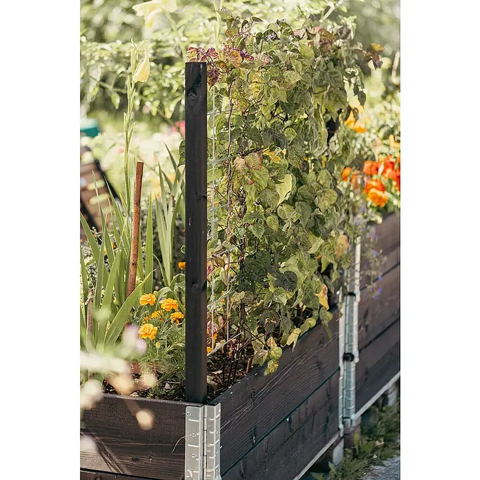 Upyard Holzpfosten - Länge: 118 cm, Schwarz - Detailaufnahme eines bepflanzten, erhöhten Gartenbeets mit Rankhilfe aus Metall und Holzpfosten, umrankt von üppigen Pflanzen.