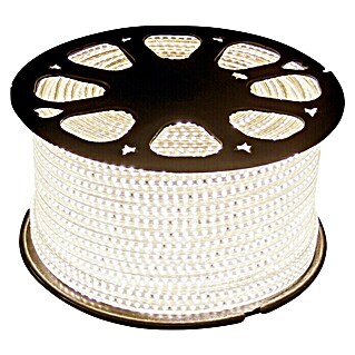Alverlamp Tira LED LT220 (Largo: 100 m, Color de luz: Blanco cálido, 12 W)