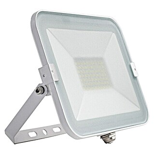 Alverlamp Proyector LED LQ (50 W, L x An x Al: 3,2 x 19,2 x 15,7 cm, Blanco, Blanco neutro)