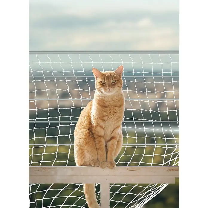 Red de protección para gatos - 2 x 3 m, Poliéster - Un atento gato naranja está sentado en una percha blanca frente a una red de seguridad, vigilando atentamente su entorno.