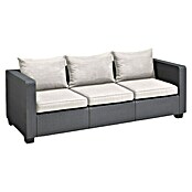 Allibert Loungesofa Salta (B x T x H: 200 x 84 x 65 cm, Anthrazit) | BAUHAUS