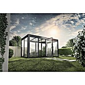 SunElements Gewächshaus SunGarden Energy 4.2 (Außenmaß inkl. Dachüberstand (B x T): 443 x 233 cm, Anthrazit-Metallic, Materialspezifizierung Dach: Acrylglas mit Photovoltaikmodulen) | BAUHAUS