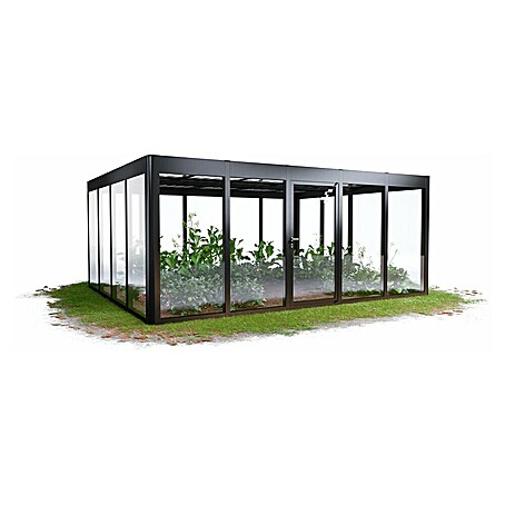 SunElements Gewächshaus SunGarden Energy 5.4 (Außenmaß inkl. Dachüberstand (B x T): 548 x 443 cm, Anthrazit-Metallic, Materialspezifizierung Dach: Acrylglas mit Photovoltaikmodulen)