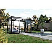 SunElements Gewächshaus SunGarden Infinity 3.2 (Außenmaß inkl. Dachüberstand (B x T): 338 x 233 cm, Material Seitenwand: Kunststoff, 6 mm, Anthrazit-Metallic) | BAUHAUS