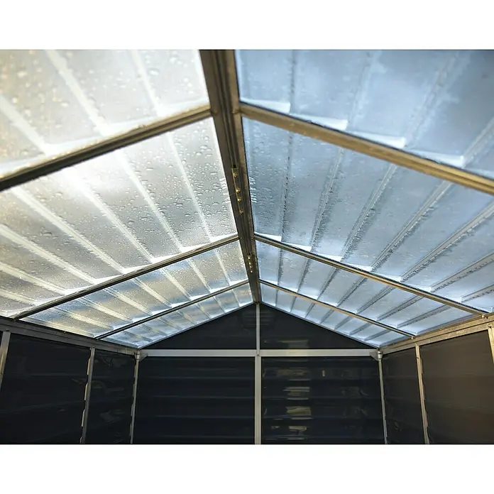 Palram – Canopia Caseta de jardín Skylight - Medidas ext. (An x Pr): 185 x 229 cm, Plástico, Antracita - Vista interior de un invernadero con estructura de aluminio y techo transparente, cubierto de gotas de agua.