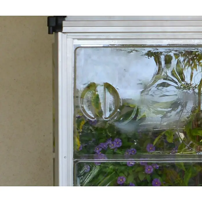 Palram – Canopia Invernadero Lean To - Medidas ext. (An x Pr): 125 x 63,5 cm, Material de la pared lateral: Plástico, 0,7 mm, Plateado - Primer plano de un escaparate vibrante con plantas vistas a través de un cristal texturizado, destacando la mezcla de interior y naturaleza.