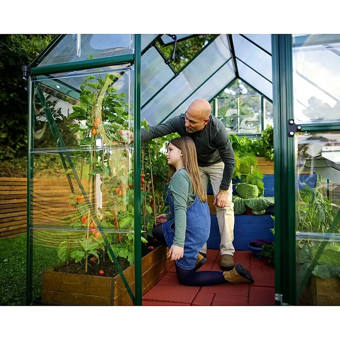 Palram – Canopia Invernadero Hybrid - Medidas ext. (An x Pr): 185 x 306 cm, 0,7 mm, Verde - Padre e hija mirando plantas de tomate en un invernadero. El invernadero protege y favorece el crecimiento de las plantas.