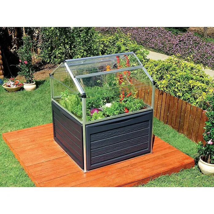Palram – Canopia Invernadero Plant Inn - Medidas ext. (An x Pr): 118 x 118 cm, Material de la pared lateral: Plástico, 0,7 mm, Antracita - La imagen muestra un mini invernadero sobre una plataforma de madera, lleno de varias plantas y verduras.