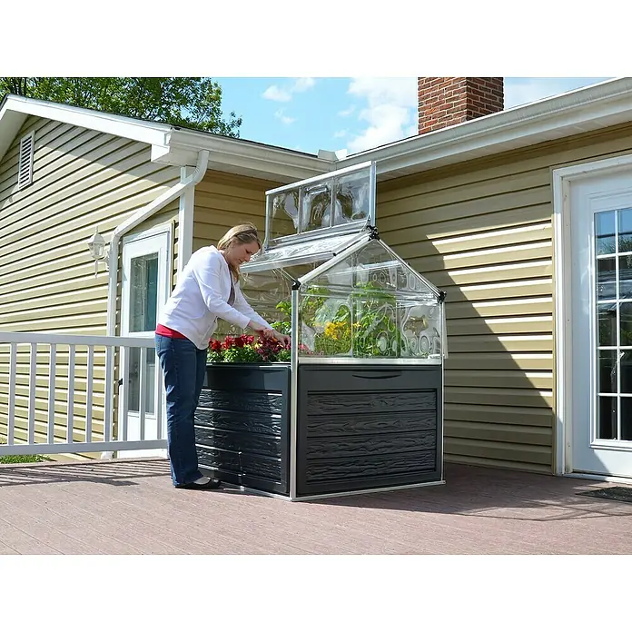 Palram – Canopia Invernadero Plant Inn - Medidas ext. (An x Pr): 118 x 118 cm, Material de la pared lateral: Plástico, 0,7 mm, Antracita - Mujer atendiendo un invernadero compacto en un patio. El invernadero cuenta con una base negra y una cubierta transparente.