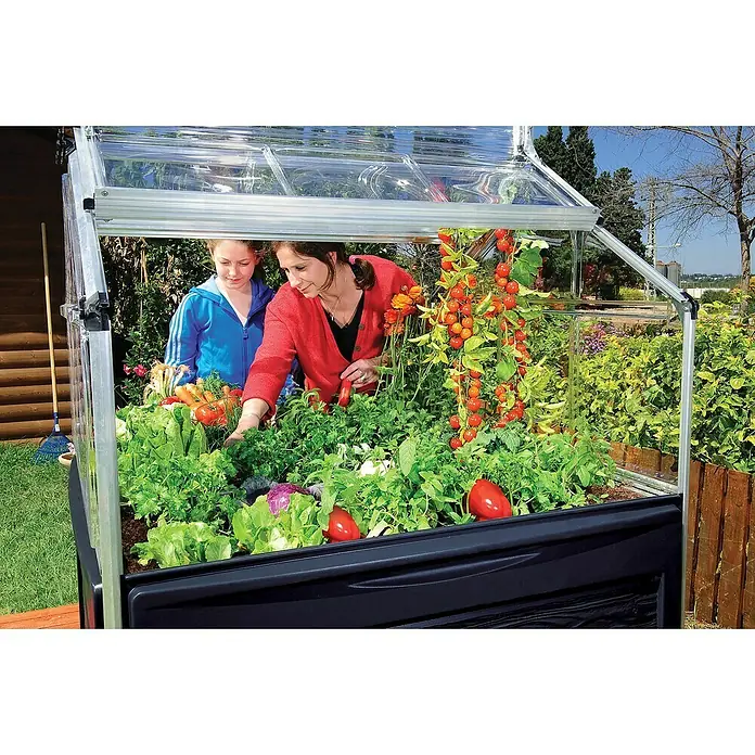Palram – Canopia Invernadero Plant Inn - Medidas ext. (An x Pr): 118 x 118 cm, Material de la pared lateral: Plástico, 0,7 mm, Antracita - Primer plano de un huerto elevado con una rica variedad de vegetales, con madre e hija jardineando. El marco resistente y el techo transparente protegen los cultivos.